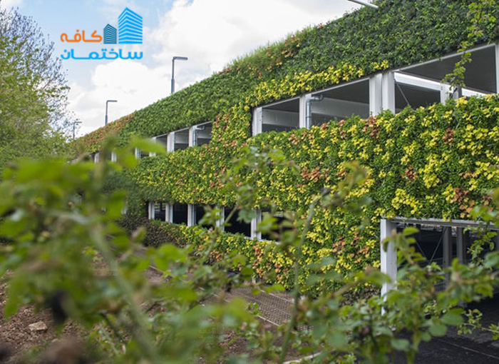 دیوار سبز (Green Wall)- عایق صوتی بسیار موثر